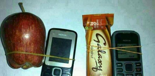 Οι Κινέζικες μαϊμούδες εξελίχθηκαν σε αρκούδες, αξίζουν όμως;