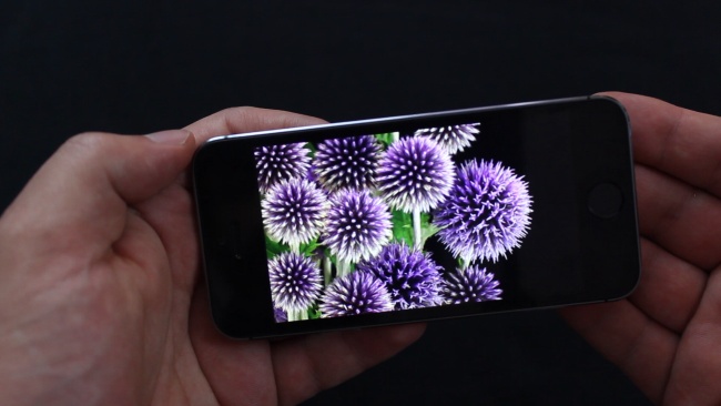 iphone 5S Screen
