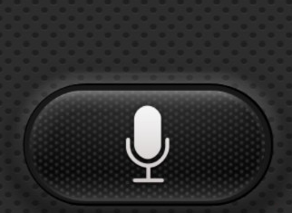 s-voice