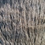 nexus 5 sample (28)