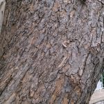 nokia lumia 1520 samples (15)