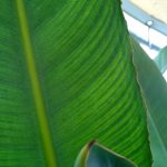 nokia lumia 1520 samples (2)