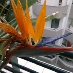 nokia lumia 1520 samples (32)