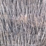 nokia lumia 1520 samples (7)