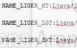 Code-reveals-the-LG-Liger-for-three-Korean-carriers
