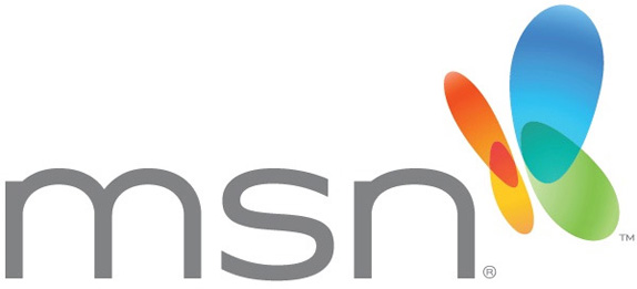 msn_logo_detail