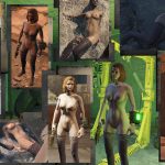 Fallout-4-Nude-Mods-Stockings