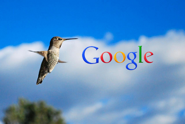 google-hummingbird-algorithm