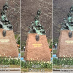crop-all-copy
