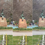 crop-all-copy2