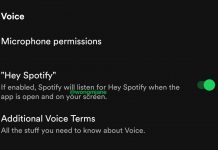 Hey Spotify