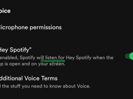 Hey Spotify