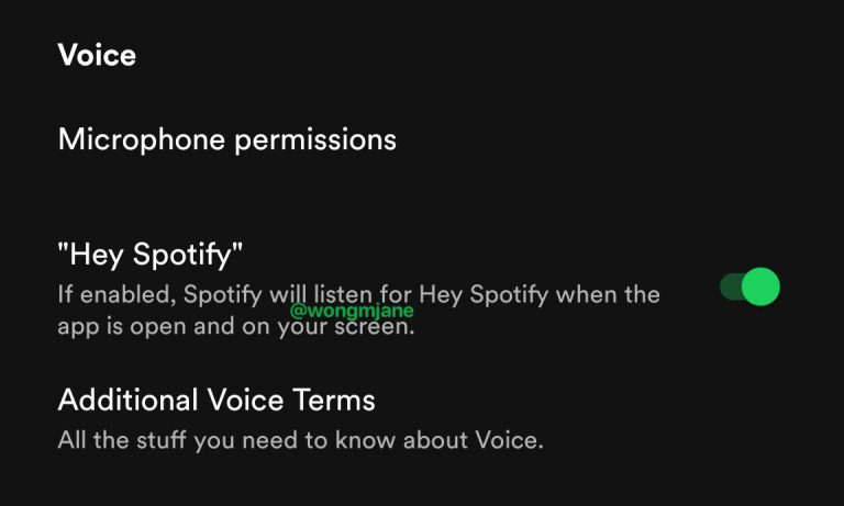 Hey Spotify