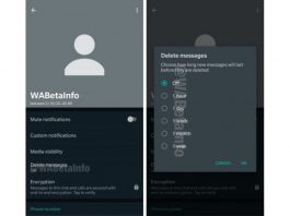 WhatsApp auto delete msg