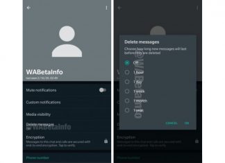 WhatsApp auto delete msg