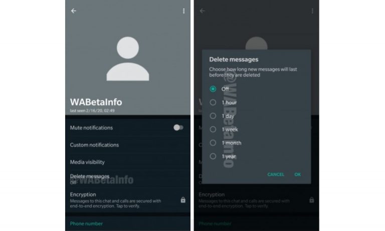 WhatsApp auto delete msg