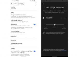 Hey Google Assistant Sens