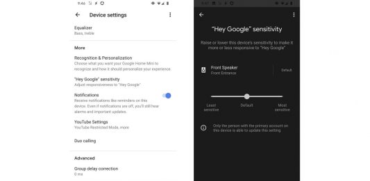 Hey Google Assistant Sens