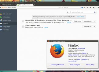 firefox flash 2020 dead