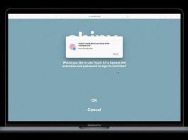 face id touch id safari apple