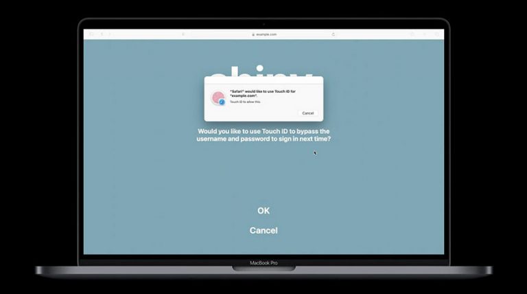 face id touch id safari apple