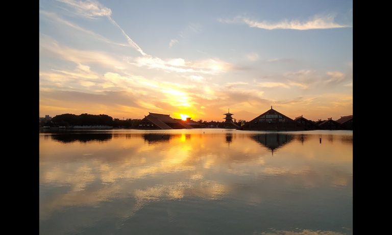 ZTE Axon 20 5G camera sample