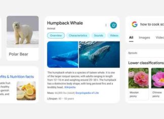 google search