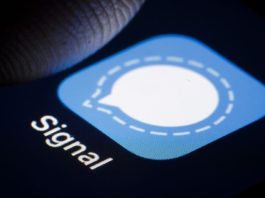 Signal whats