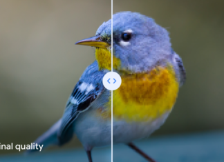 Google Photos