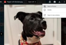 google photos