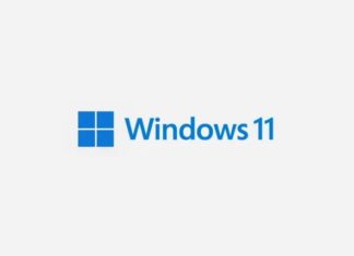 windows 11