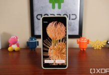 Google-Pixel-6-flower-wllpapers