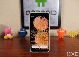 Google-Pixel-6-flower-wllpapers