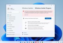 Windows 11 Windows Insider PCs Out