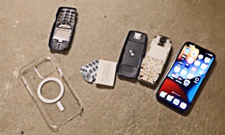iPhone 13 Pro VS Nokia 3310