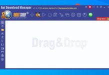 ant download manager pro