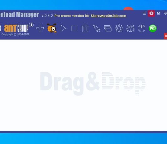 ant download manager pro