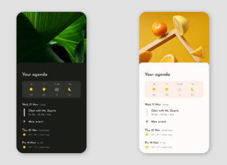 Android 12 dynamic theming