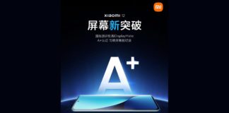 Xiaomi 12 DisplayMate A+ 15 Records Display