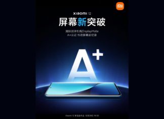 Xiaomi 12 DisplayMate A+ 15 Records Display