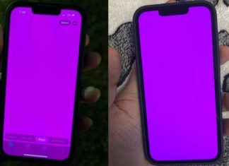 iPhone 13 Pink Screen