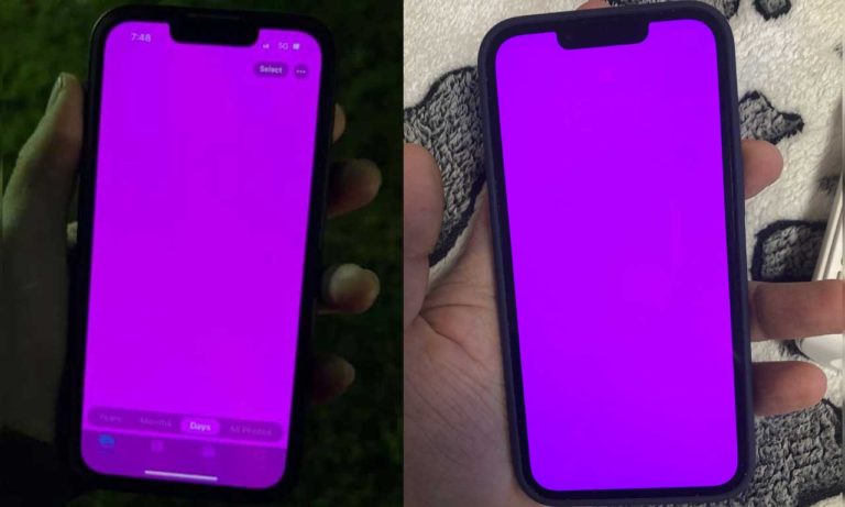 iPhone 13 Pink Screen
