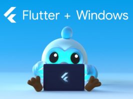 Flutter Windows Google