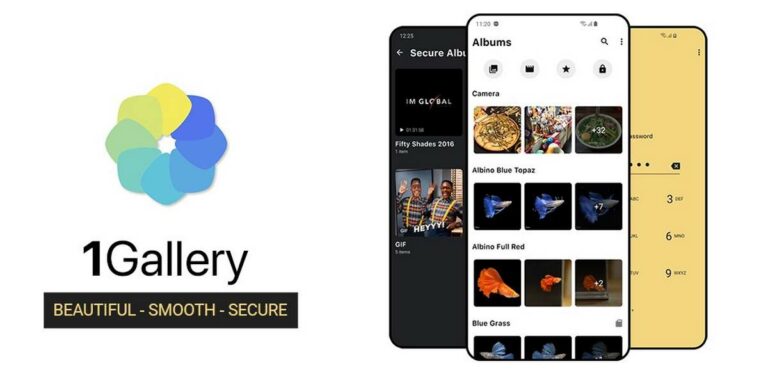 1gallery