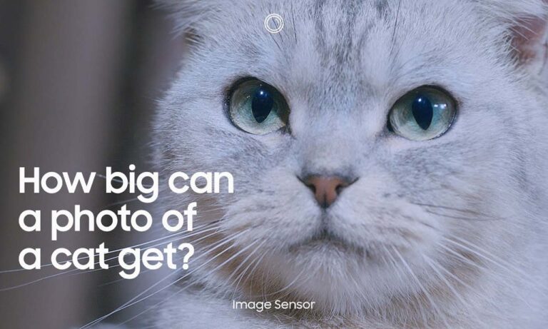 Samsung ISOCELL HP1 200MP Huge Image