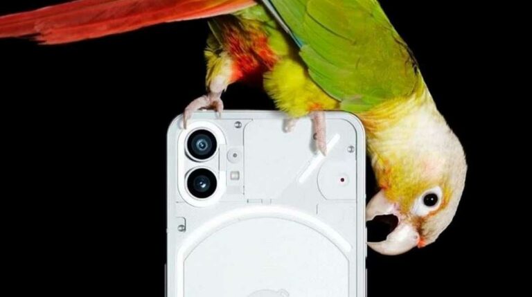 Nothing Phone (1)