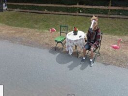 Μερικές Street View φωτογραφίες – διαμάντια που δεν θα πιστεύεις ότι τράβηξε το Google Maps