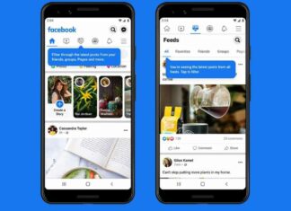 news feed facebook