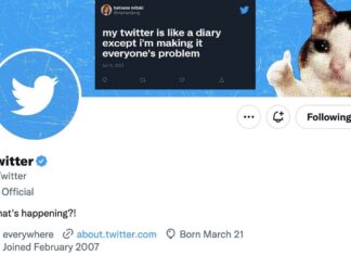 Twitter Blue Official Elon Musk