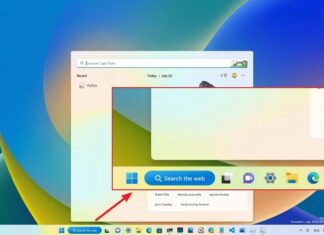 Windows 11 Search